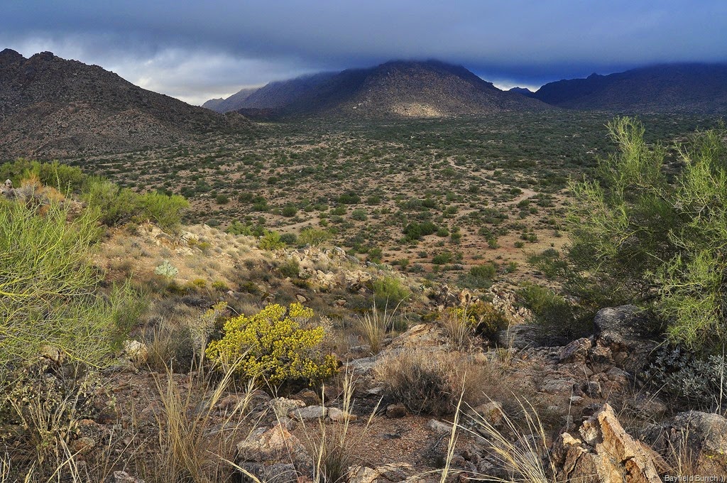 [DSC_0013%255B5%255D.jpg]