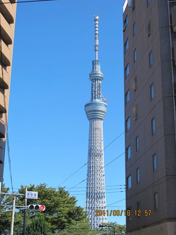 [201119180665.jpg]