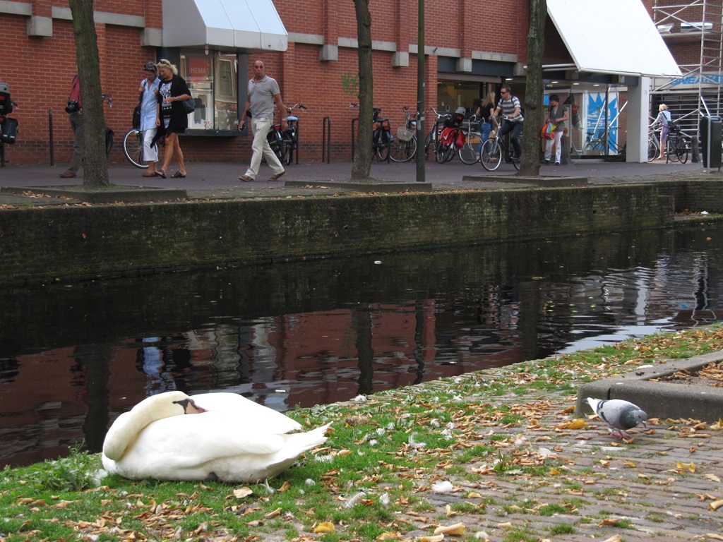 [IMG_3296%255B3%255D.jpg]