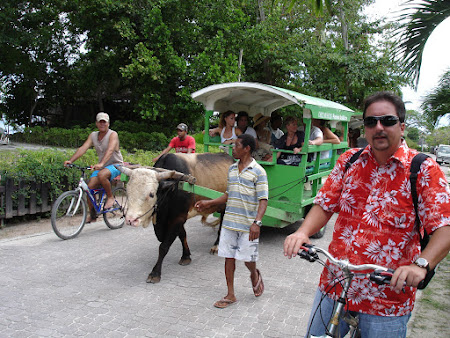 Taxi Seychelles - caruta cu bou