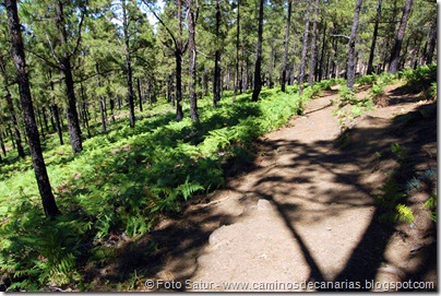 6391 Deg. Las Palomas-Bº. Hondo 6391 Deg. Las Palomas-Bº. Hondo