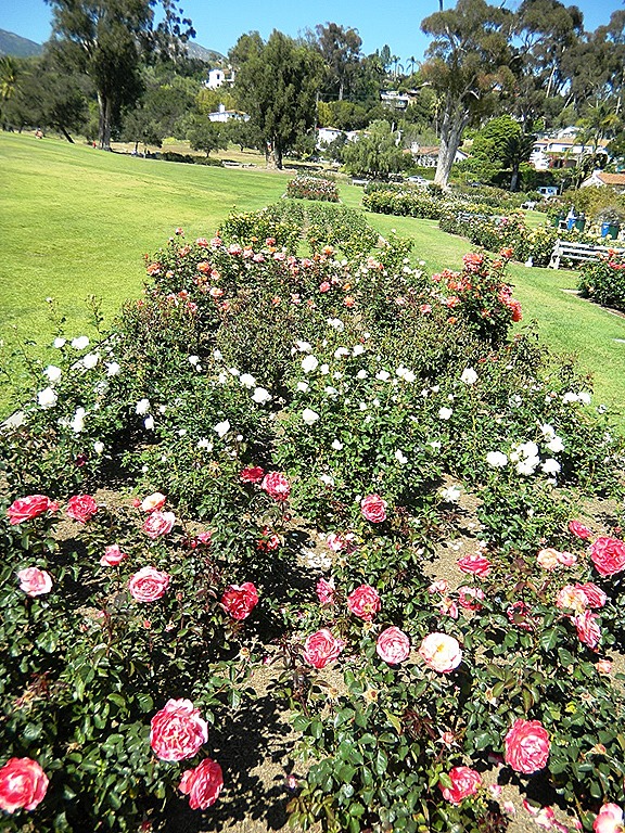 [DSCN3527%2520-%2520Kopie%255B5%255D.jpg]