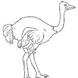 Aves%25252520%25252528100%25252529.jpg