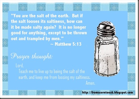 Matthew 5v13 (Saltiness)