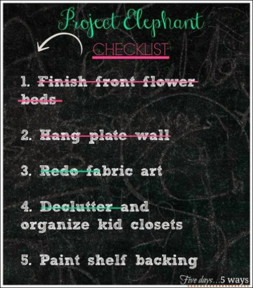 project elephant checklist1[4]