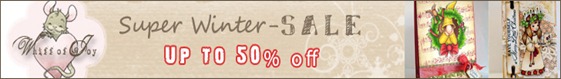 WinterSale WinterSale