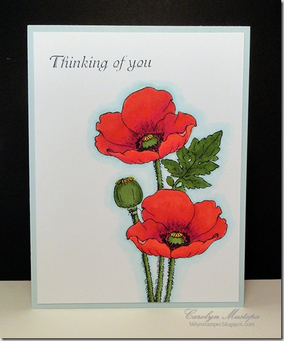 poppies-thinking-of-you