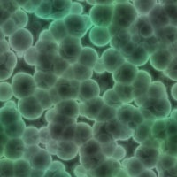 seamless backgrounds Microbiology24