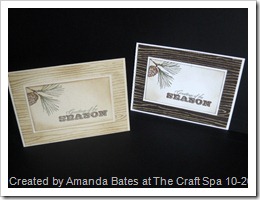 SU, Amanda Bates, The Craft Spa, Watercolor Winter, Timber Emboss Folder 01