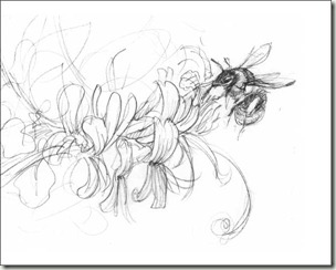 sketch1 sketch1