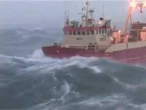 navio.gif