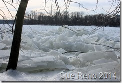 Ice on the Susquehanna River, 2/2014, by Sue Reno, Image 11