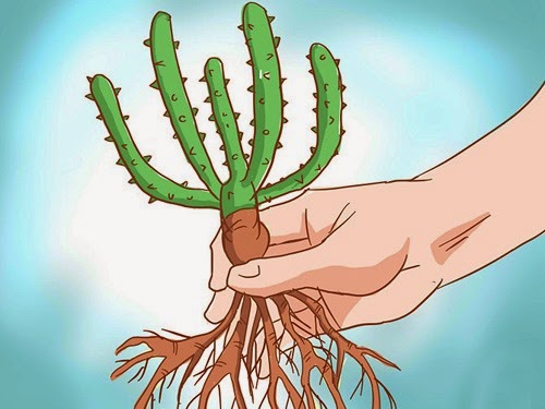 [clip_image002%255B3%255D.jpg]