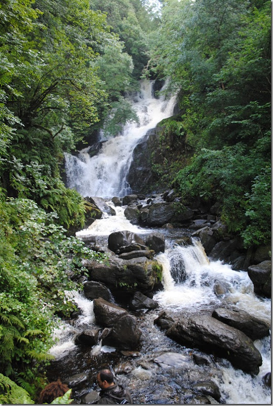 Kilarney National Park and Torc Waterfall (23)