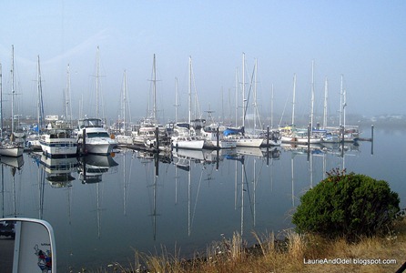 Foggy morning at Winchester Bay