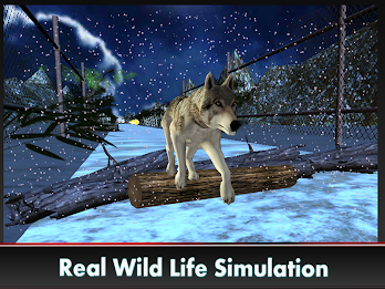 Wild Wolf - 3D Run poster 10