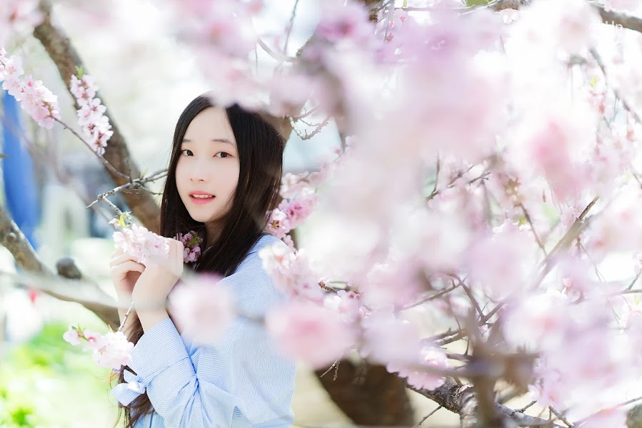 Bambi (밤비) Lacerta Photography