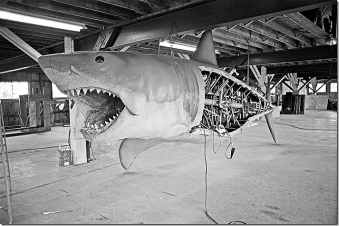 jaws_10