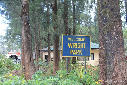wright park 8
