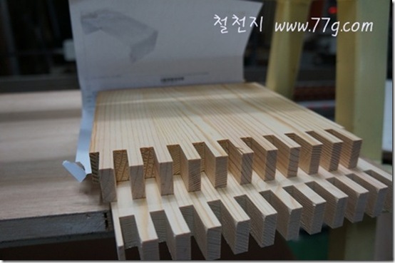 철천지DSC01179-20120109-022257