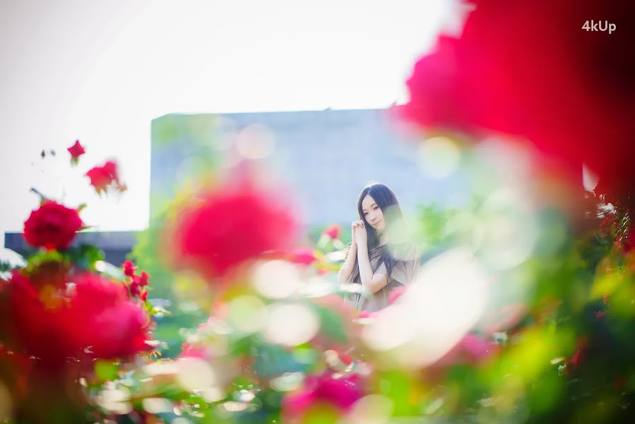 Bambi (밤비) Lacerta Photography