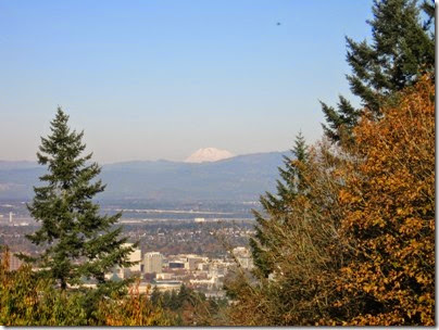 IMG_9263 View of Mount Adams from Council Crest Park in Portland, Oregon on October 23, 2007