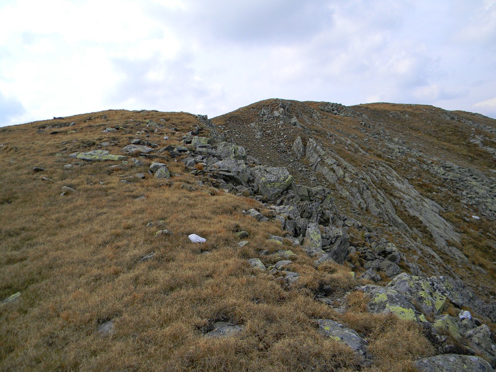 [DSCN62053.jpg]