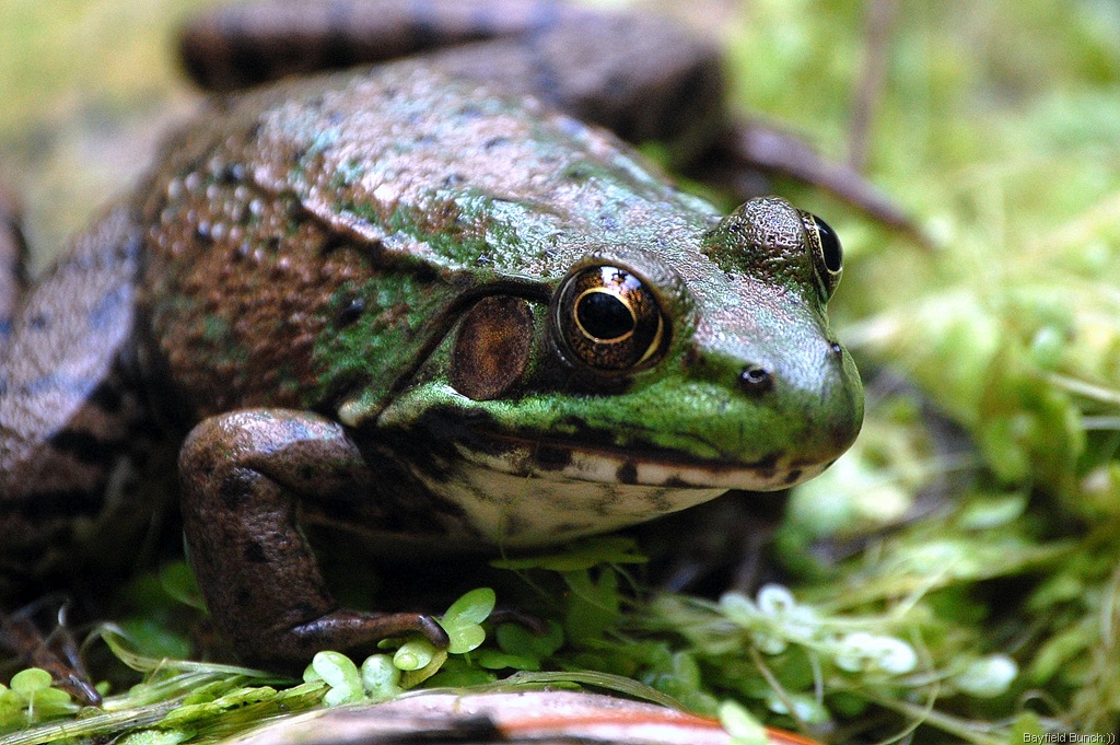 [DSC_2985%255B3%255D.jpg]