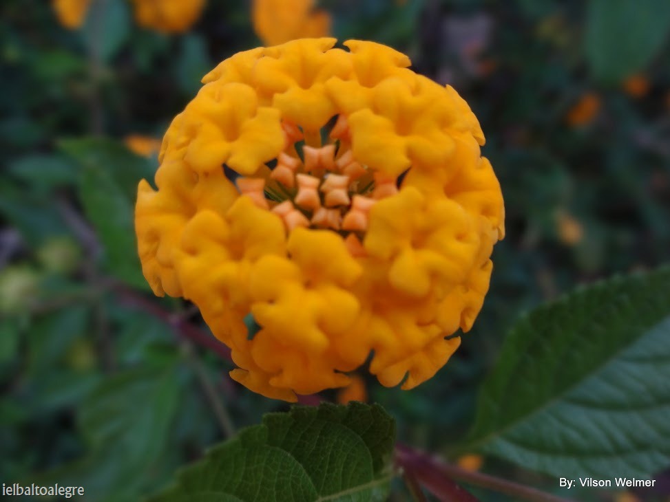 [DSC01351%255B1%255D%255B11%255D.jpg]