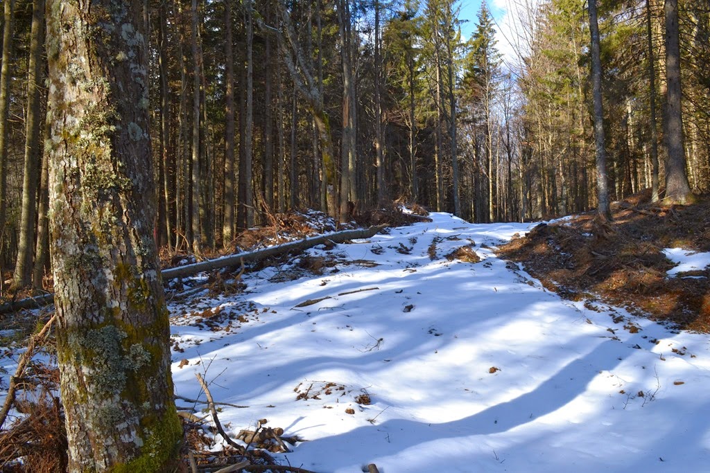 [DSC_47563.jpg]