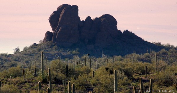 [DSC_5100%255B4%255D.jpg]