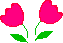 Flores1%25255B.gif