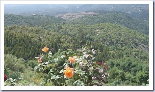 Monchique.Mountains