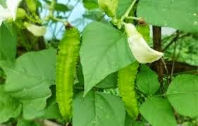 [clip_image001%255B3%255D.jpg]