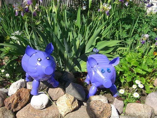 [80829583_0_6e92c_77a3c885_L%255B3%255D.jpg]