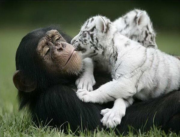 [aaa6%255B2%255D.jpg]