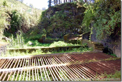 5477 La Laguna-Vueltas Acero-Firgas 5477 La Laguna-Vueltas Acero-Firgas