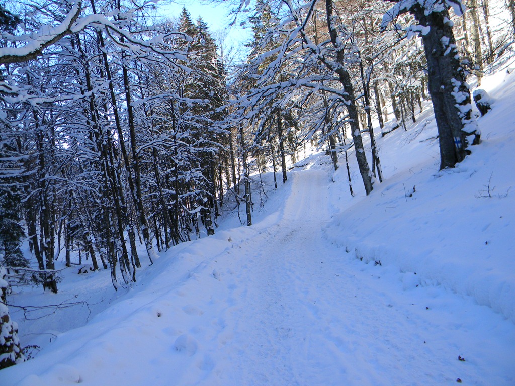 [DSCN13533.jpg]