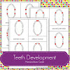 FREE Teeth Development Nomenclature Cards