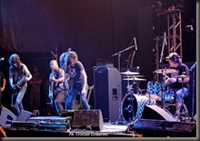 1379243_249486408534451_525700634_n