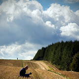 By Alessandra Tommei