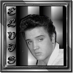 elvis imagenesifotos (9)