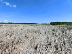 2013-06-17 Hecla Island - 081