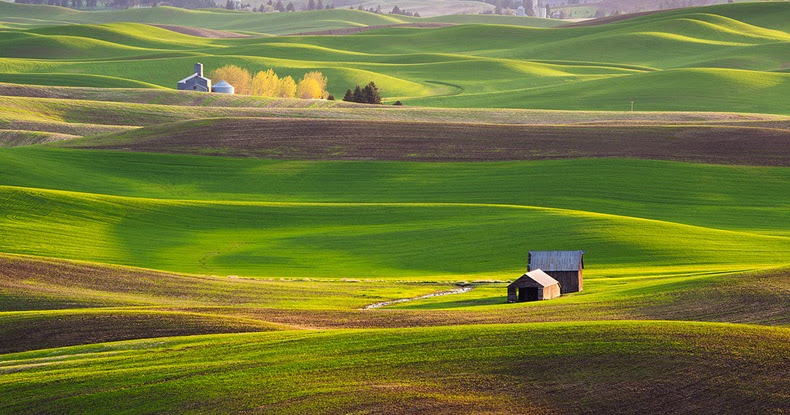 Colorful Rolling Grasslands of Palouse | Amusing Planet