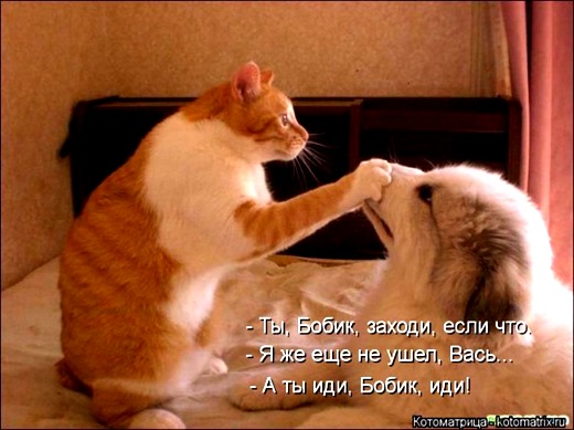 [1395372367_kotomatritsa_ls%255B11%255D.jpg]