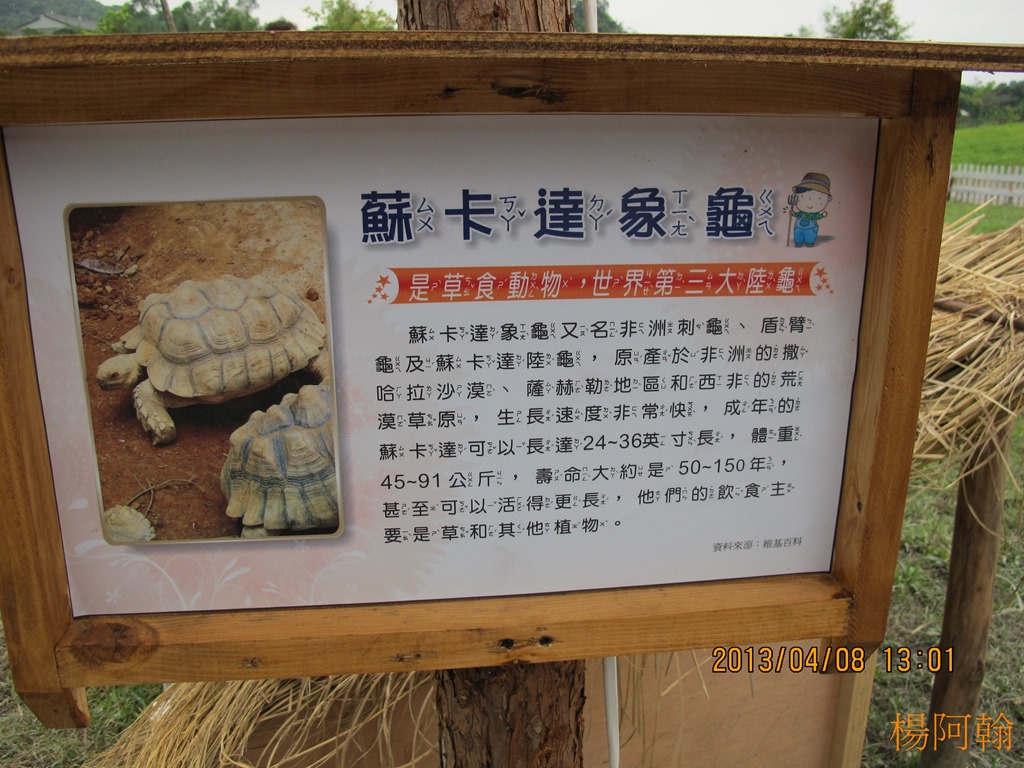 [2013----1134.jpg]