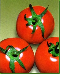 Tomate Market Wonder