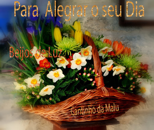 paraalegrarseudia.png