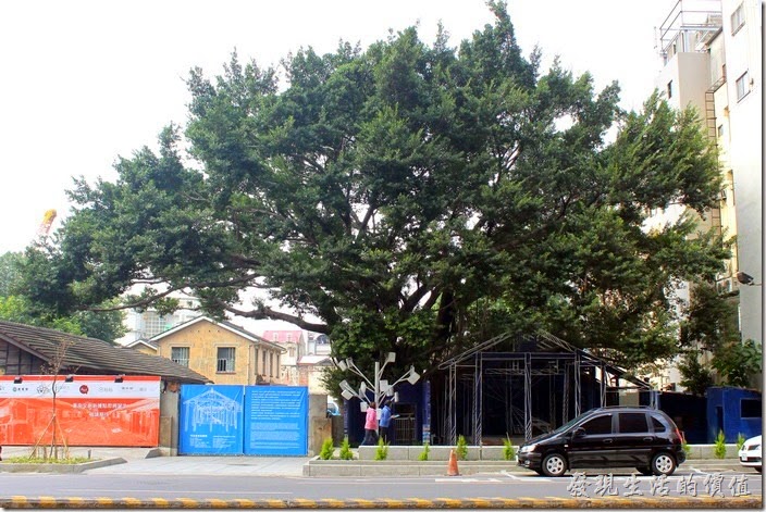 台南-西門路上司法宿舍群的藍晒圖2.0。西門路上重生的「藍晒圖」座落在原「司法宿舍」群，在一棵大樹的下面。