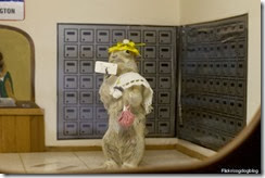 Picking up the mail gopher